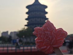 -隋唐洛阳城明堂天堂景区