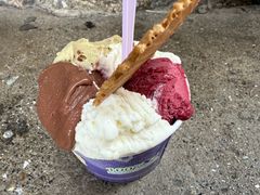 -Gelateria Dondoli