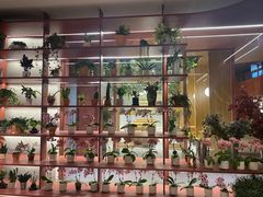 -二酉书店TOYOU BOOKS