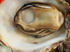 -小竹签烤肉纸包鱼小龙虾(唐韵路店)