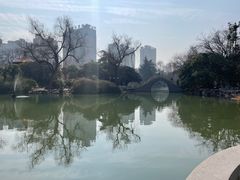 -西苑公园