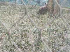 -无锡动物园·太湖欢乐园