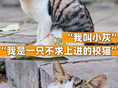-东南大学(四牌楼校区)