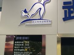 -伟伟宠物医院·CT影像中心·瑞派犬猫综合性门诊(汉口总院)