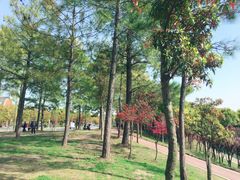 -美兰湖景区