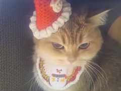 -瑞鹏宠物医院·宠保定点·心脏科·内科(御桥分院)