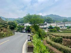 -十八棵（老龙井）御茶园(老龙井店)