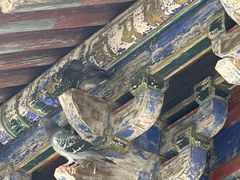 -洛阳白马寺
