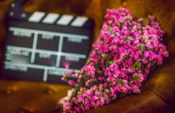 点击看大图 -泓瑞金陵大酒店·宴会厅