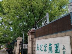 -嘉定紫藤园
