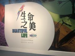 -国家自然博物馆