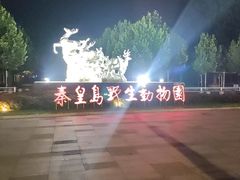 -秦皇岛野生动物园