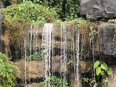 -广州神农草堂中医药博物馆