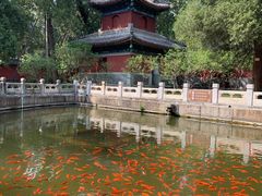 -国家植物园南园