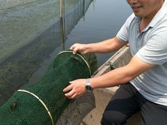 -阳澄湖大闸蟹海参(翟营大街总店)