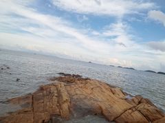 -野狸岛