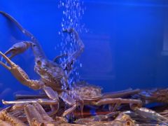 -阿伟海鲜楼·福建菜(延寿店)