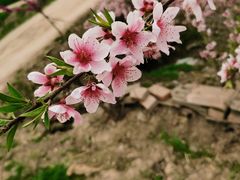 -庄老幺火锅(娄山关路店)