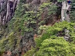 -黄山风景区