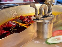 -小龙翻大江文化火锅(宽窄店)