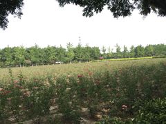 汉阳陵博物馆-汉景帝阳陵博物院