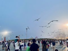 -东港音乐喷泉广场