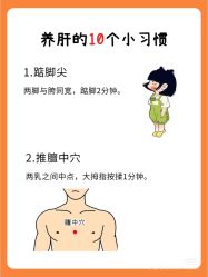 -玛莲朵·海菲秀冰珀科