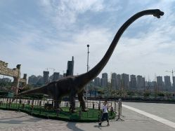 点击看大图 -恐龙探索乐园(磁器口店)