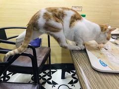 -牛纽塔·牛人堡(群众路店)