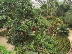 -南山植物园