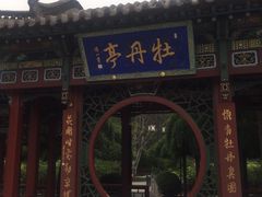 -晋祠公园
