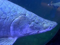 -青岛海底世界-水族馆