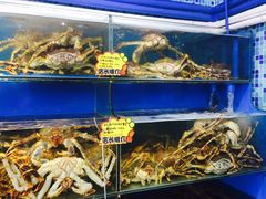 -蚝专家(北滘店)