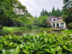 -上海怡沁园度假酒店