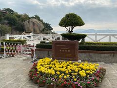 -鼓浪屿内厝澳码头(轮渡站)