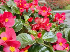 -点都德(广州白云山景区南门店)