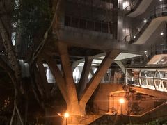 -香港大学