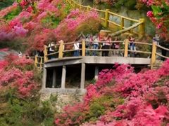 -木兰云雾山
