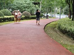 -滨湖塘西河公园