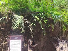 -西岭雪山大飞水景区