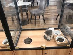 -袖虎·猫馆(体育西路店)