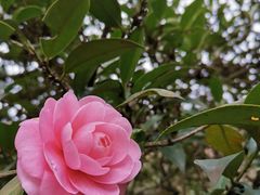 -杭州植物园