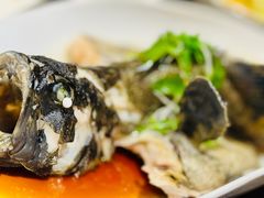 -羲和雅苑•北京烤鸭(国贸商城店)