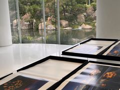 -罗红摄影艺术馆