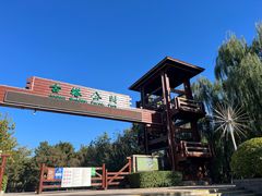 -古塔公园