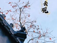 -白云观