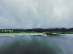 -腾冲北海湿地