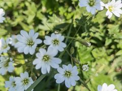 -白草畔自然风景区