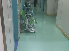 -北京观赏动物医院·24小时大型综合·猫专科·异宠专科
