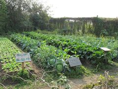 IMG_0644-茂德公草堂